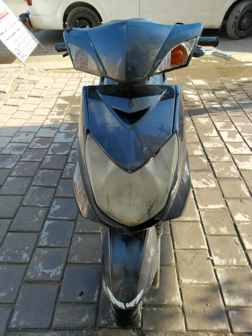 سكنس فحل بغداد الامين الثانية سعر 450