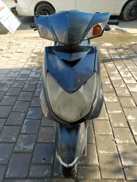 سكنس فحل بغداد الامين الثانية سعر 450