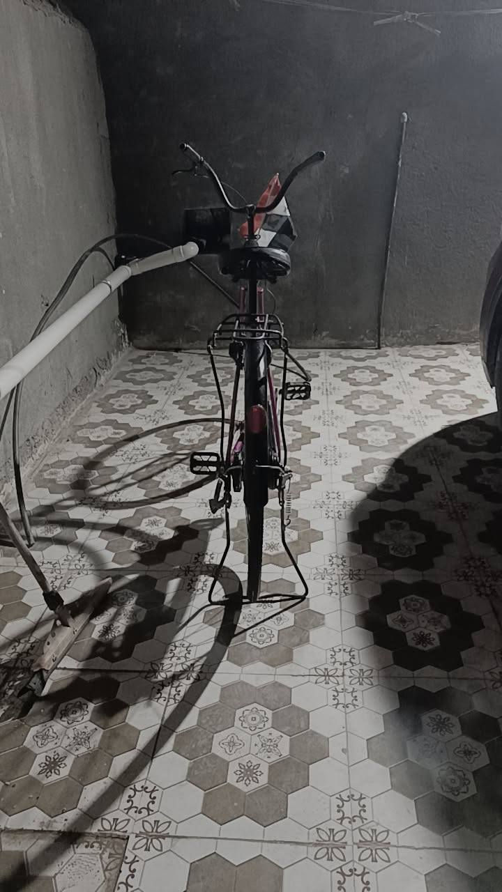 باسكل البيع المكان غراف الشراي يجي خاص 💬❤️


**إذا كنت صاحب هذا الإعلان وتريد حذفه لأي سبب، رجاءا أرسل رسالة إلى الدعم الفني**