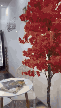 كييف كومبير …التوصيل داخل حي القاهرة مجاناا 07835008825 رابط موقعنا عل...