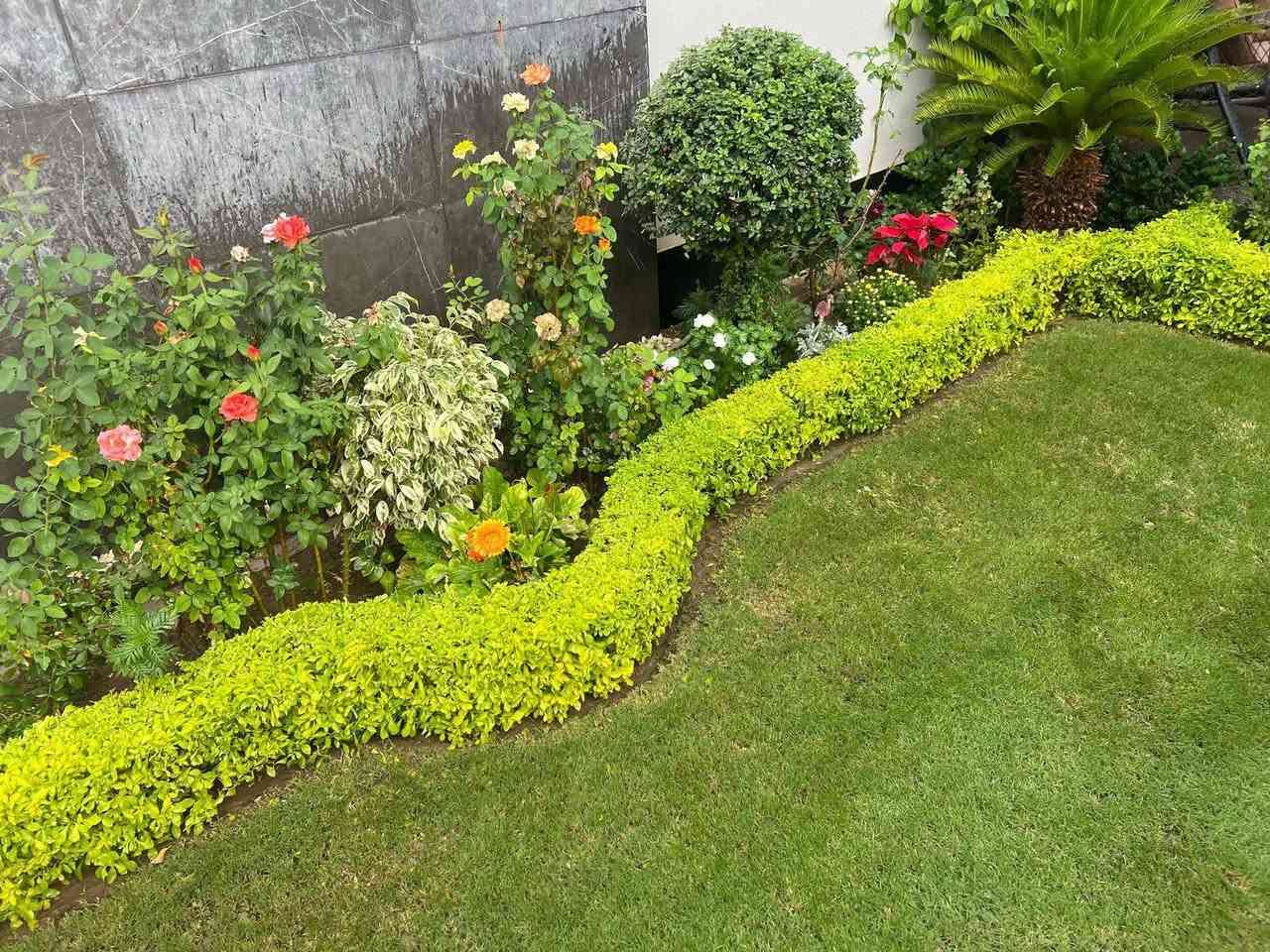 *********** باداره ابو علي
