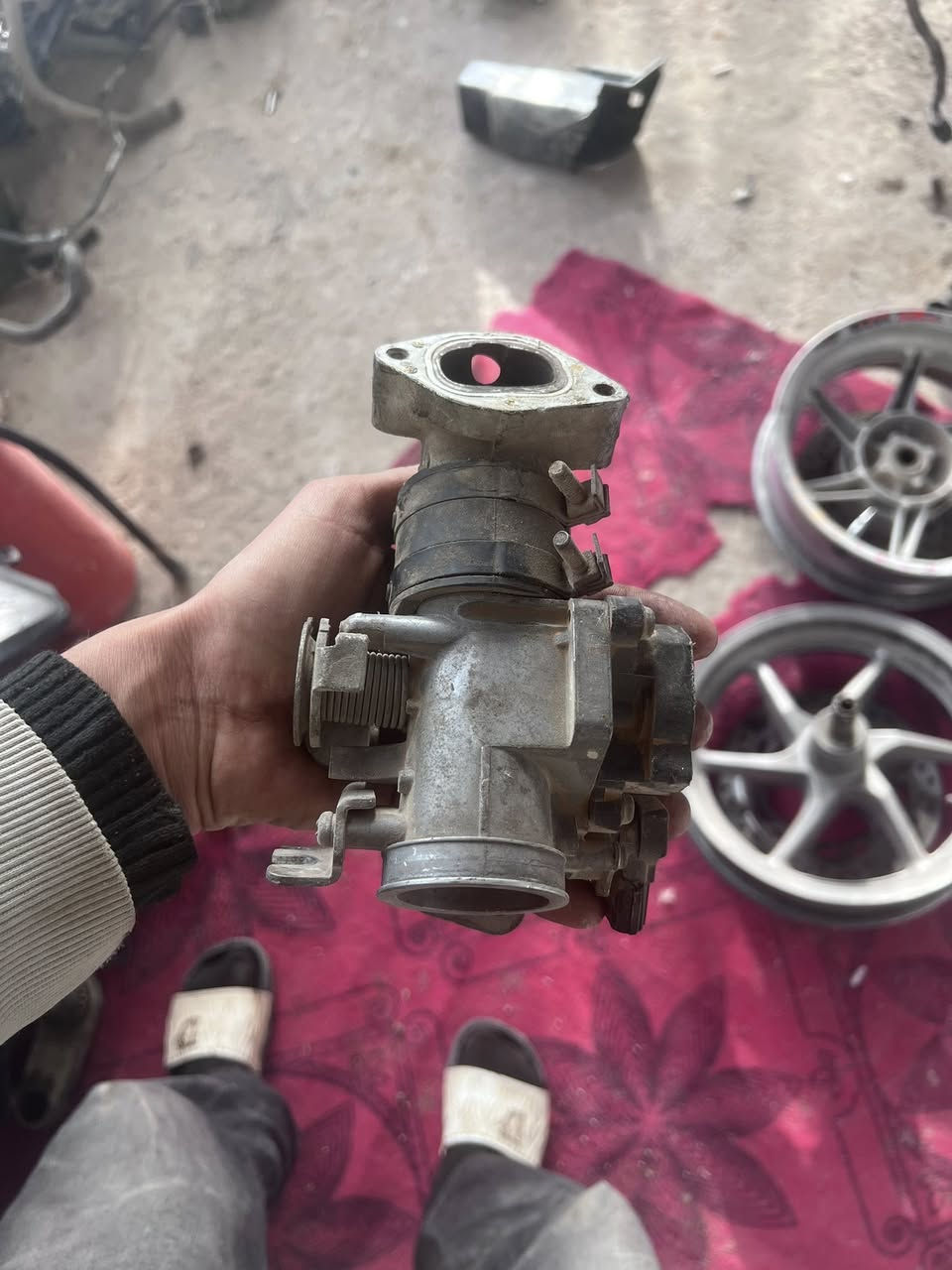 شتحتاج تفصيخ 010موجود توصيل جميع المحافضات اتصل واتساب موجود ***********
