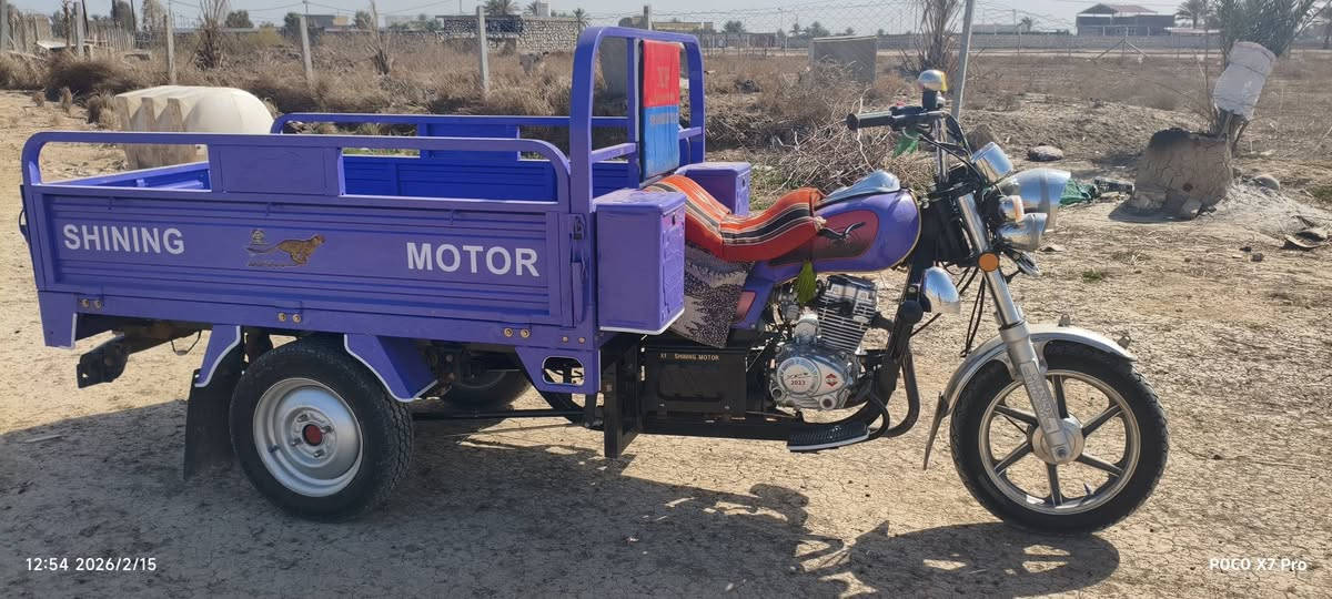 ستوته لبيع وكيل بلال مكفوله أصولي ***********/***********
