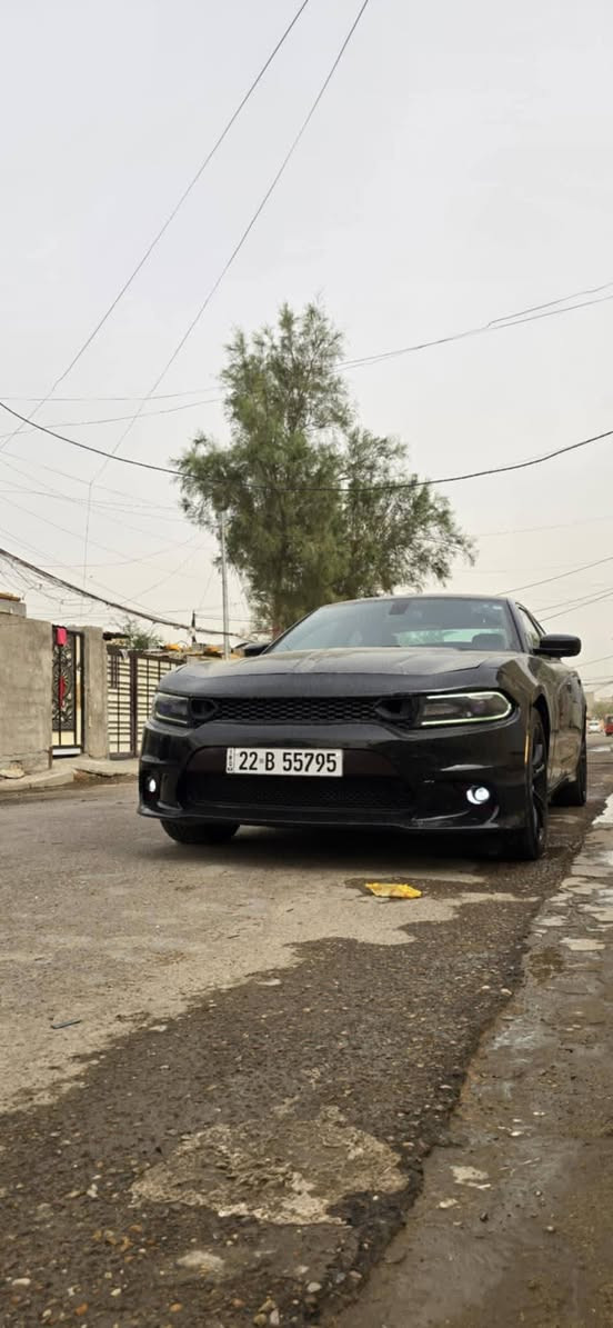 السلام عليكم جارجر SXT للبيع  موديل 18اصل  رقم اربيل دولي تحويل مباشر
مواصفات 
بصمه تشغيل 
بصمه ابواب 
تشغيل عن بعد 
تحديد مسار نضام كروز 
تبريد قطعتين 
مري  كهرباء 
شاشه جبيره 
ويل 20بلاك توب عليه تخم تاير جديد 
بدون إرباك بدون اي كلوب مشتغل تبريد ثلج مكينه وكير وأكسل مكفولات 
ف الحادث بل منشور 
السعر ب165وبيها مجال بسيط 
مكان السياره بغداد
***********
