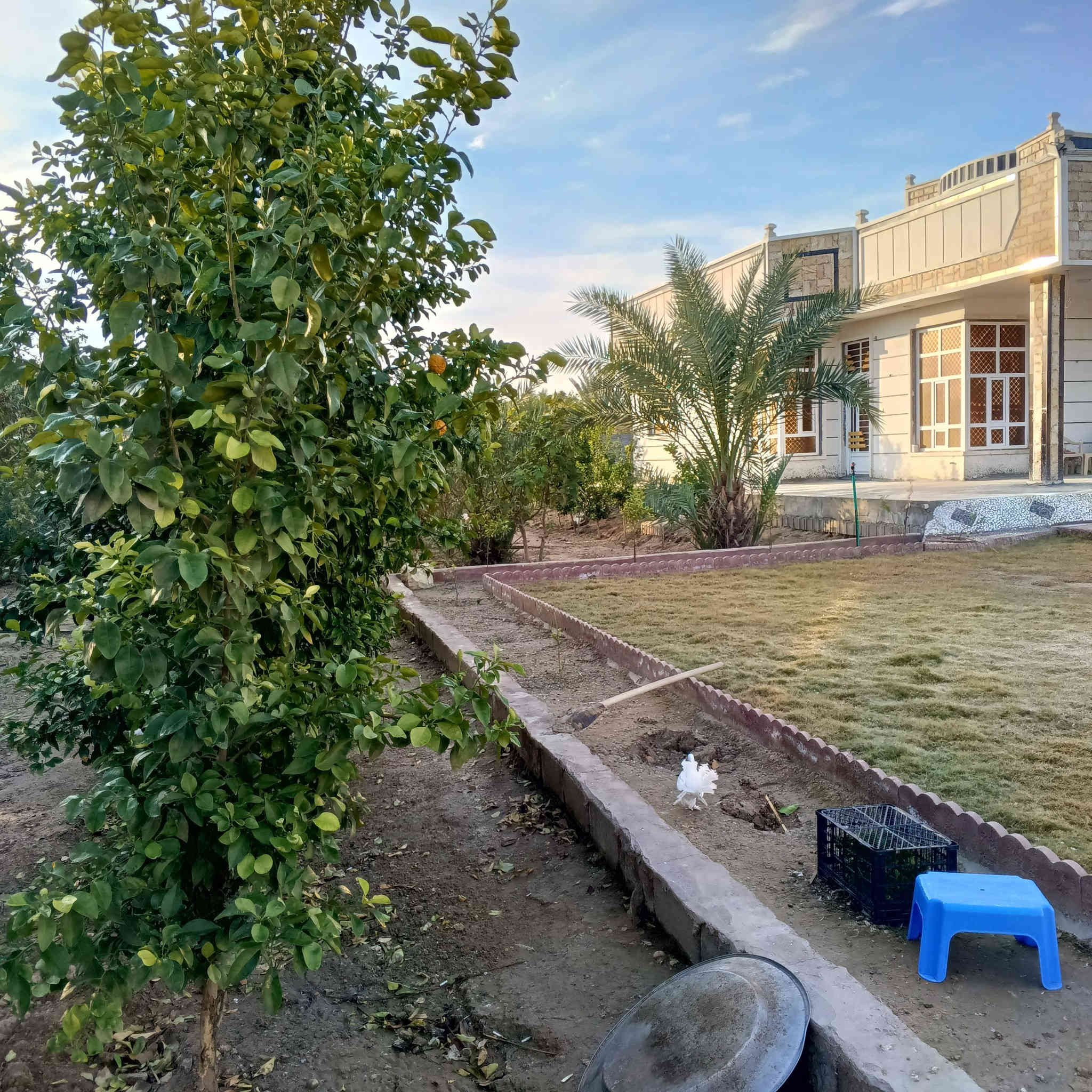 مزرعه للبيع 2 دونم مع بيت حديث الازركيه خلف وقفة الحلال  السعر ٣٠٠ مليون وبي مجال ***********
*********** وتساب
