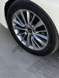 مراوس • رنج 18 • بدون فطر