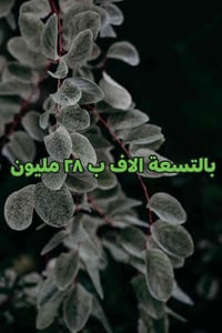 عرصة • ١٠٠م • حي الموظفين
