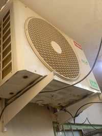 سبلت • توسوت • ٢ طن