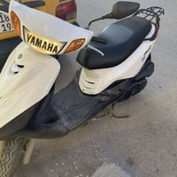 لكزز • فحل • حاوية