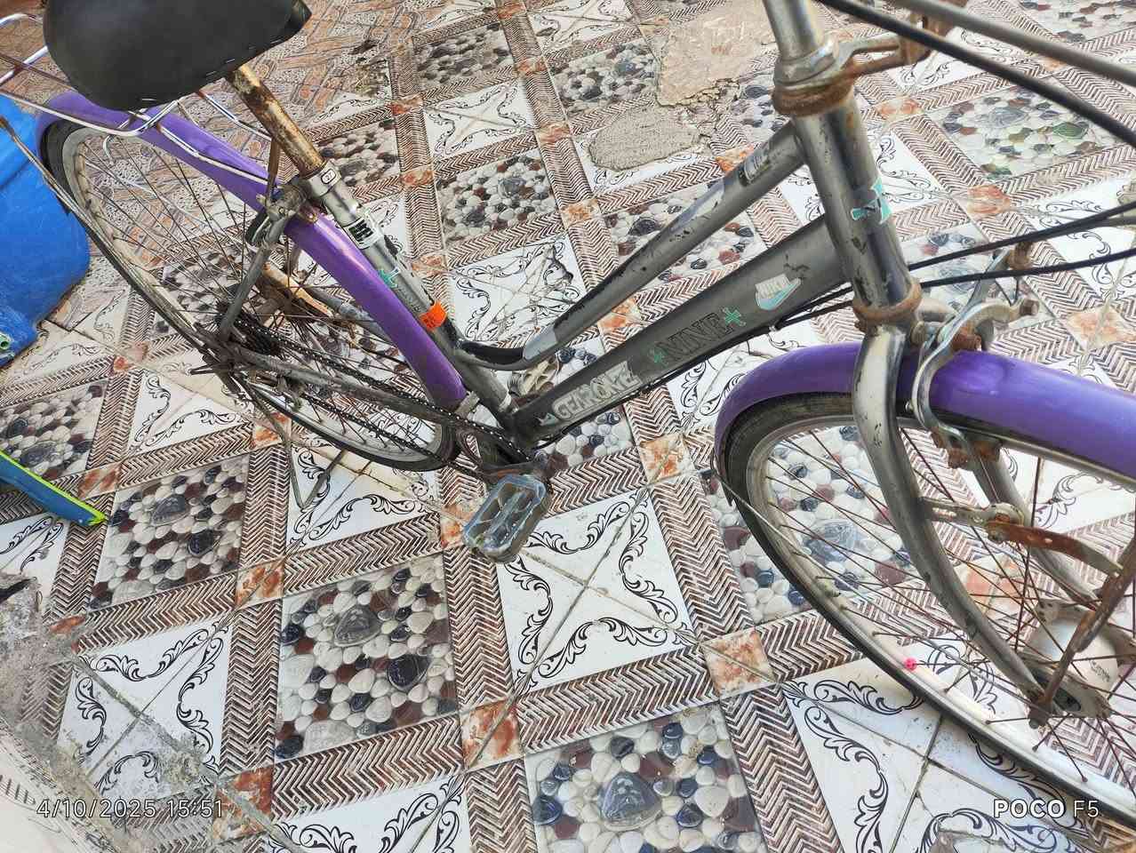 بايسكلات للبيع نضاف مابيهن نقص السعر خاص


**إذا كنت صاحب هذا الإعلان وتريد حذفه لأي سبب، رجاءا أرسل رسالة إلى الدعم الفني**