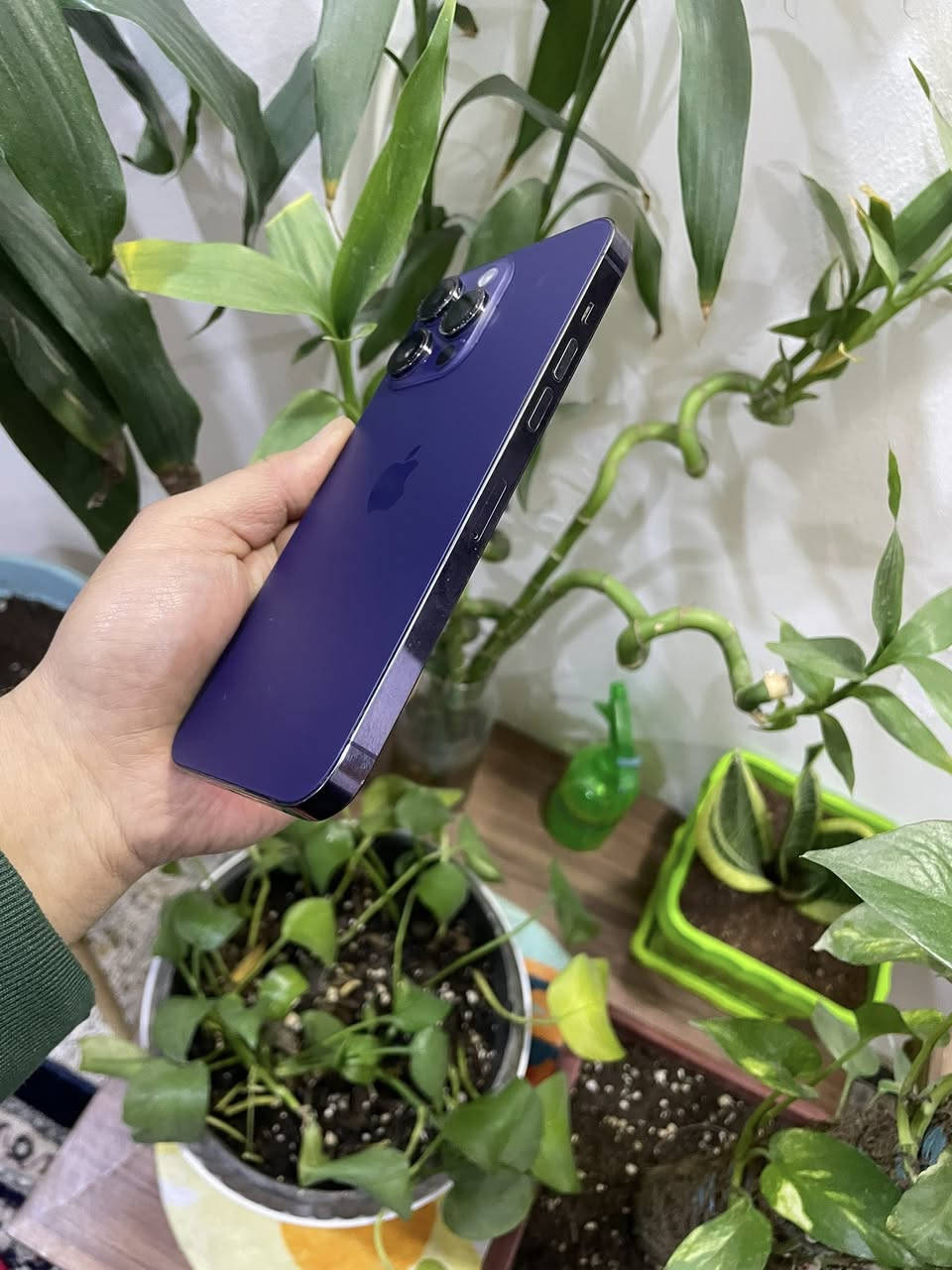 14 برو ماكس ماستر ذاكره 256 بطاريه 90 معلايه شلت النسبه ورجع بلادي مالته 76
مبدل شاشه فقط 

 وضهر ممبين مبدل بس للامانه حض وبخص 

مخليله لاصق 17 برو ماكس 

فيس ايدي شغال مكفول كامل من جميع نواحي صوت اتصال كله جاهز وكامل 

575 الف 

بغداد الدوره 

***********
