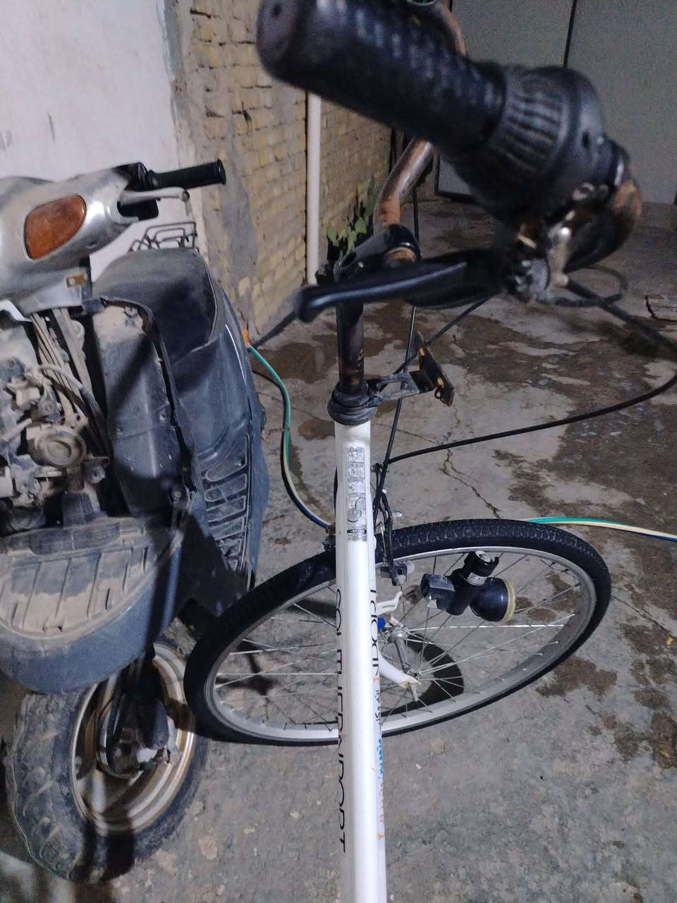 باسكل بطه 26باسكل نظيف بس بي شخوط 120وبي مجال ولله أخذته  190


**إذا كنت صاحب هذا الإعلان وتريد حذفه لأي سبب، رجاءا أرسل رسالة إلى الدعم الفني**
