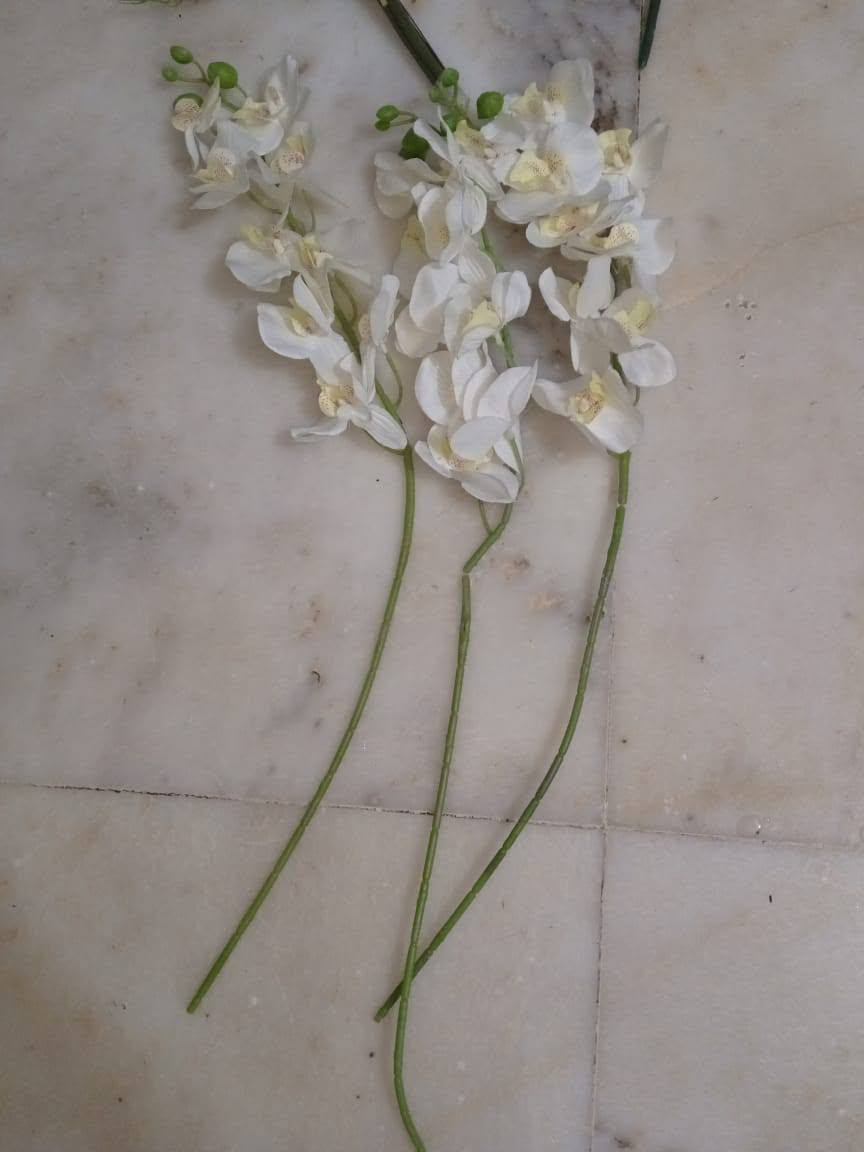 3 باقات ورد
3 أغصان ورد
كلهن ب 5 الاف


**إذا كنت صاحب هذا الإعلان وتريد حذفه لأي سبب، رجاءا أرسل رسالة إلى الدعم الفني**