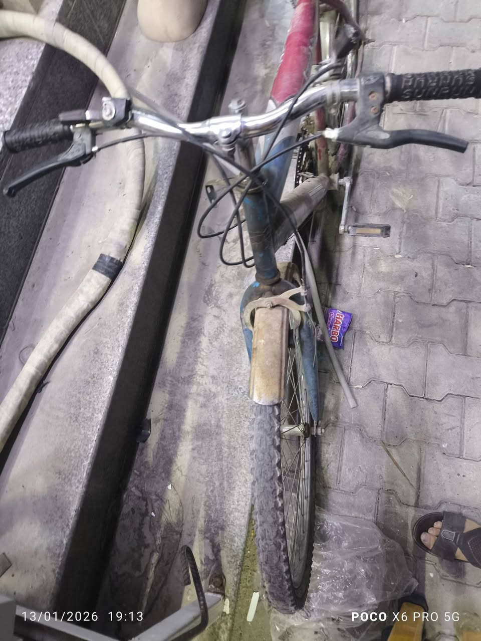 بايسكل للبيع بايسكل شوفت عينك مابي شي بس مال نمر ماموجود قيم وا اخذه بس لا تكسر بل سعر ***********
