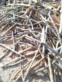 حطب كواني • حطب كيات • الجزير الخالديه