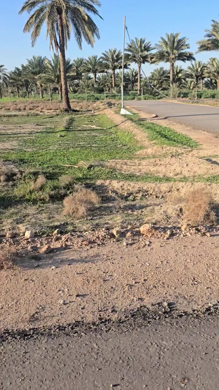 قطعه للبيع مساحه ٥٠٠ متر. طابو زراعي سند ٢٥   موقع قرب علويه شريفه بنت الحسن.  ***********
