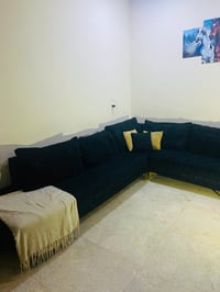 كنب • الخطيب الزراعي • بغداد