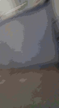 جاب خانه للبيع سعر 200 وبي مجال يريد يتواصل على الخاص 07800961290