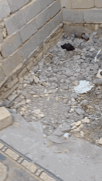 بيع مستعجل مساحه 100متر
مقابيل مجمع حجي علي شارع سايدين 

فرع ابو حارث البيت يبعد عن شارع ثالث بيت 

البيت هيكل بسعر مناسب جدا الشراي 

اتصال  فقط بالرقم *********** 

مكلف بالنشر ..البيت مناسب صار عدهم ظرف ويردون يبعونه
