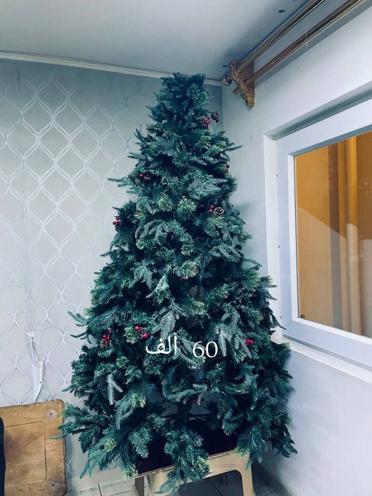 شجرة عيد ميلاد ومرايا للبيع


**إذا كنت صاحب هذا الإعلان وتريد حذفه لأي سبب، رجاءا أرسل رسالة إلى الدعم الفني**