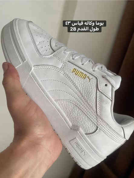 للحجز والاستفسار خاص 
واتس اب ***********
