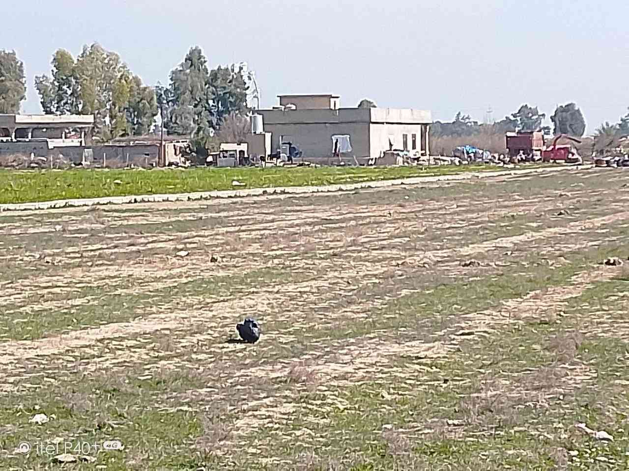 قطع للبيع زراعي الحويجه حي السلام/العيثات/
مساحة القطعة الوحده 250سعر القطعة 5مليون
واكو طبك قطعتين 500متر 
ورا المتنزه قريبة على التبليط 
***********
