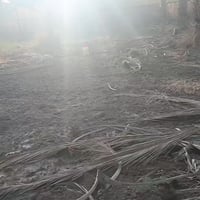 دونم • طابو صرف • قرب أمام عون