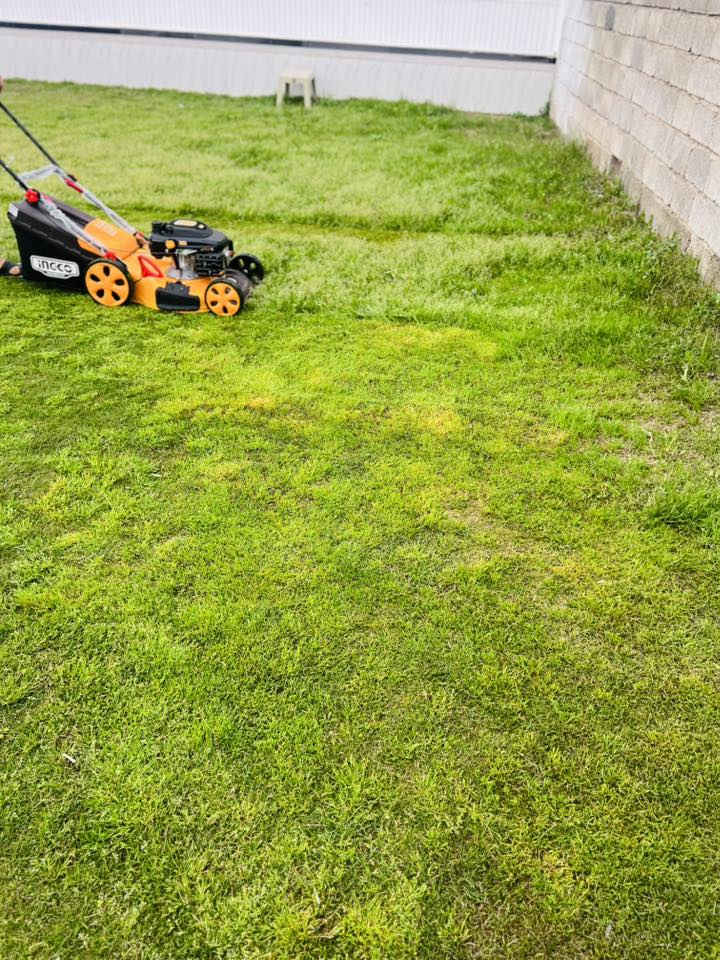 السلام عليكم
يوجد مكينه لقص الحدائق 

من يود يتصل 

***********
@
