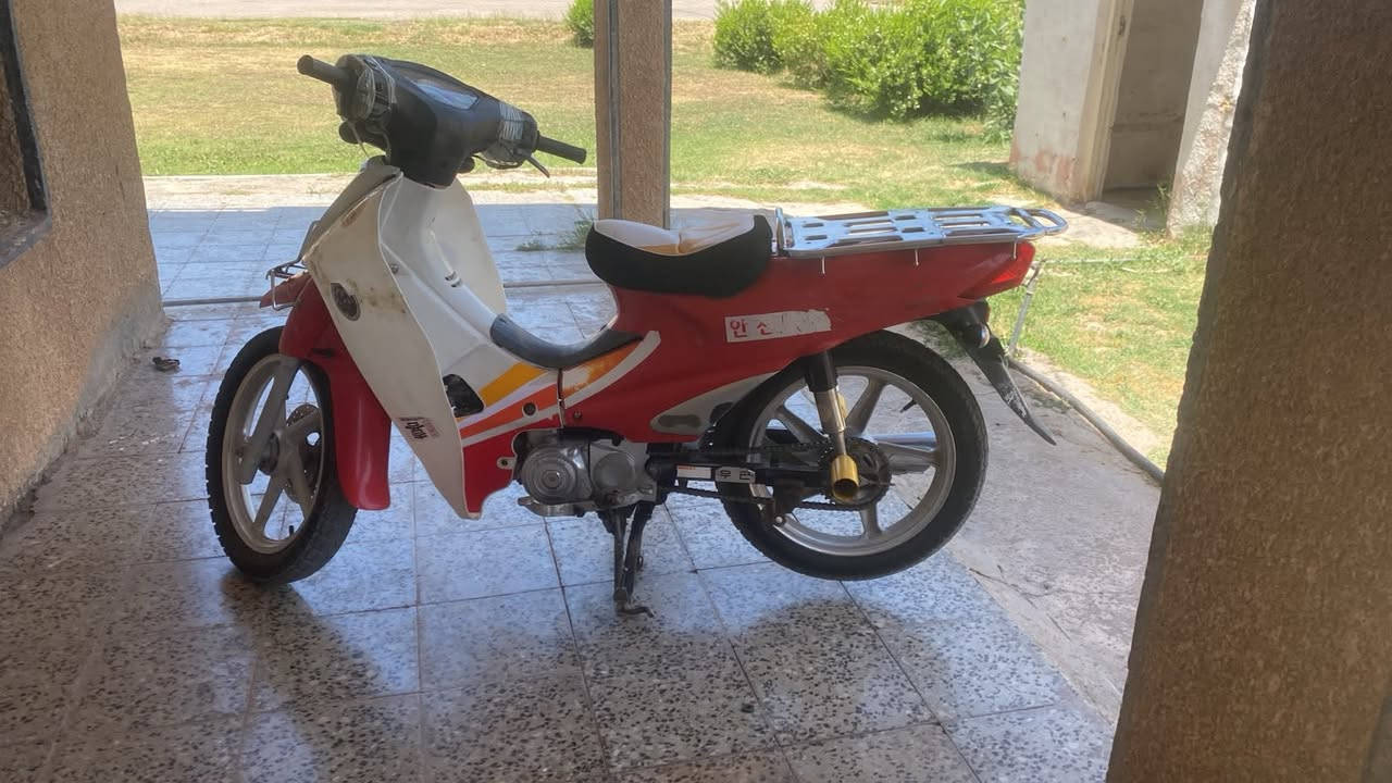 ‏سلام عليكم  للبيع ‏المكان صلاح الدين قضاء بلد السعر 450 أبي مجال الرقم***********🚴🏻‍♀️

