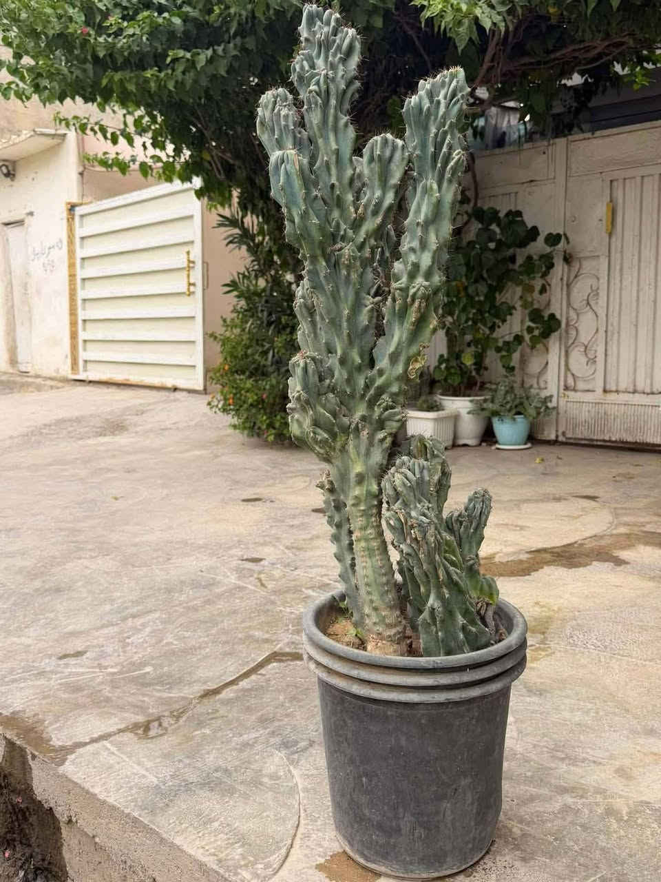 بوفروشتن كه لار


**إذا كنت صاحب هذا الإعلان وتريد حذفه لأي سبب، رجاءا أرسل رسالة إلى الدعم الفني**
