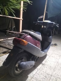 زعرا • معدل • كهربايات