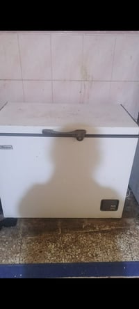 مجمدة • حجم وسط • جديدة