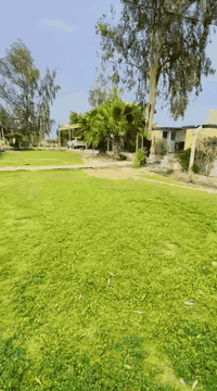 السلام عليكم
مزرعه للبيع طابو زراعي
المساحه 11دونم واجه 30م
مزروعه نخيل 🌴 واشجار   فواكه 🍋‍🟩 🍇
تحتوي المزرعه على حقل للعجول وتحتوي على ثلاث دور اثنان منها بناء حديث ومضيف 
يتوفر فيها خدمات. ماء إسالة وكهرباء وماء سقي
العنوان. هوى الشام. شارع حله ديوانيه. تبعد عن شارع حله ديوانيه 5كليو متر (نزله خفاجه)
عقارات رويد الجميلي
للاستفسار. ***********…***********
باب الحسين. مقابل مركز شرطة الفيحاء
