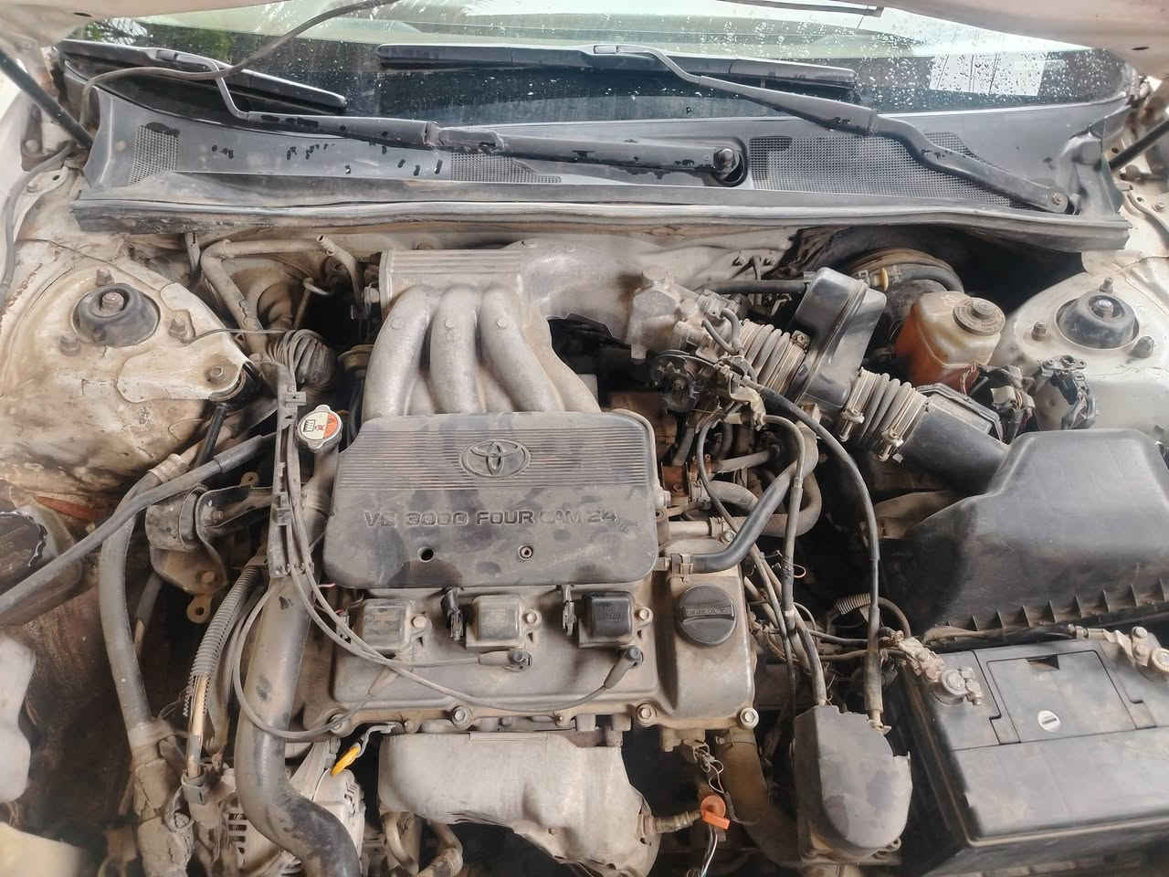 للبيع تويوتا افلون ٢٠٠٢ خليجي
للبيع افلون خليجي مصبوغ عام بيها ضربه من صفحه اليسار كما موضح بالفيديو محرك كير شرط رقم دهوك تحويل
السعر ٦٠ بي مجال العنوان صلاح الدين قضاء بلد للاتصال *********** او ***********
