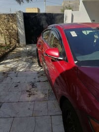 الانتره • ٢٠١٧ • وارد امريكي