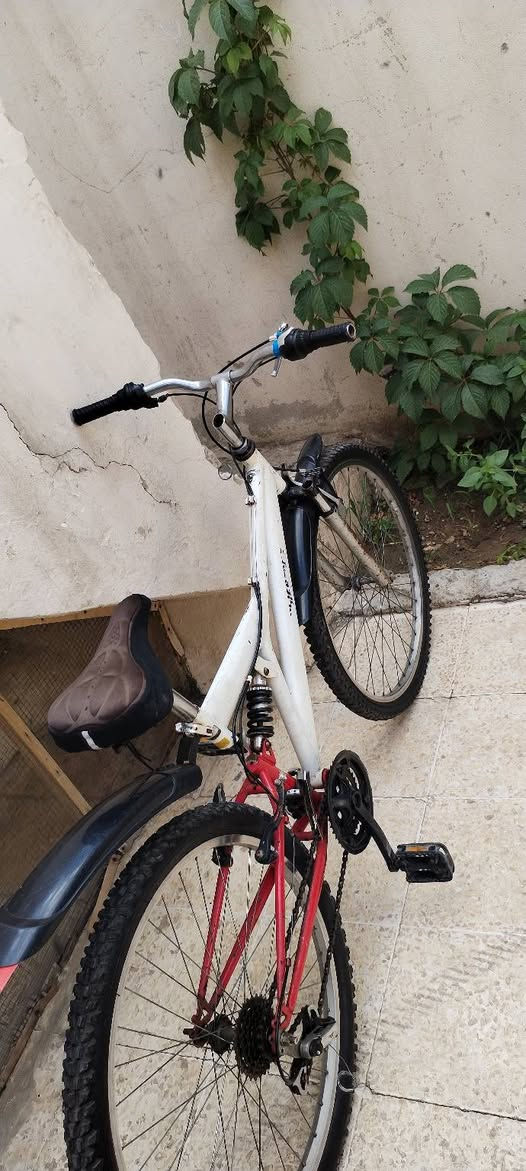 السلام عليكم بايسكل للبيع ينرادلو شويه ترتيب بايسكل ابو الدبلين الدبل الامامي غير شغال (مقفول) الدبل الخلفي شغال السعر 50 وبي مجال للطيبين


**إذا كنت صاحب هذا الإعلان وتريد حذفه لأي سبب، رجاءا أرسل رسالة إلى الدعم الفني**