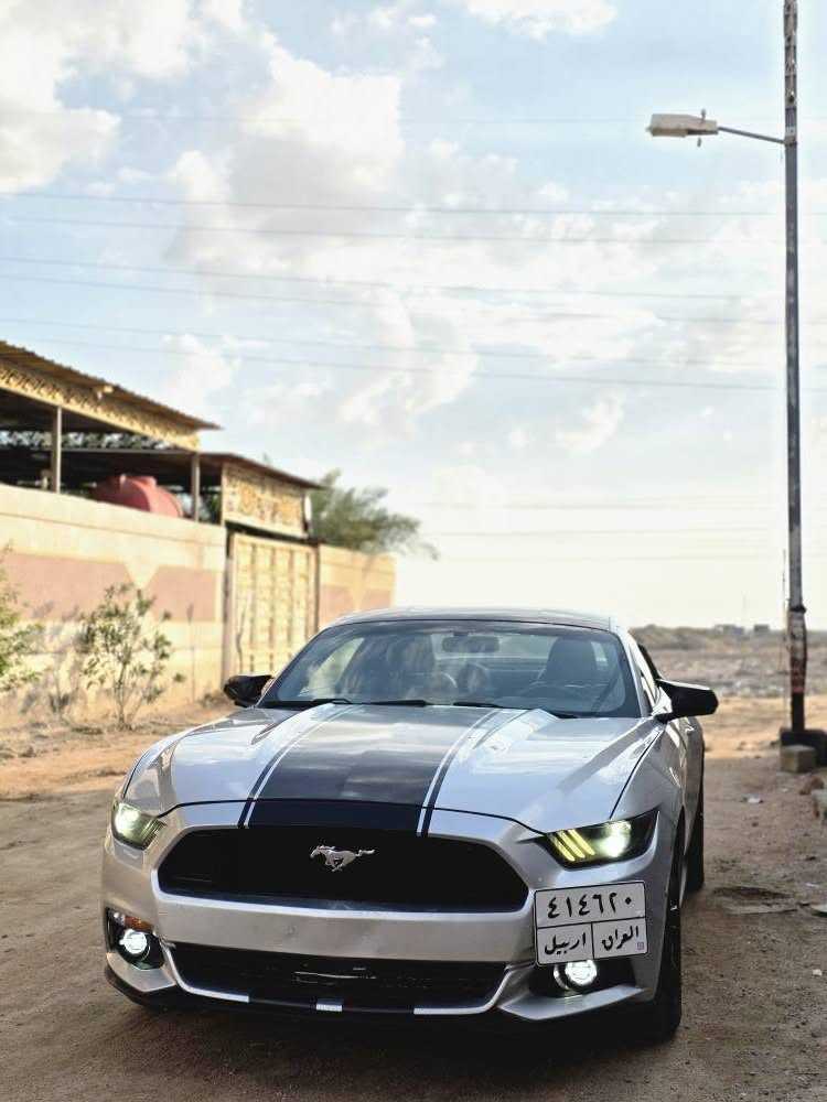 موستنك ايكو بوست 2016
2300 توربو حادث خفيف 
بدون نواقص
 وكالة او تحويل 
السعر 108وبيه مجال 
صور الحادث مرفقة بالمنشور 
المكان /البصرة
*********** البصرة, العراق
