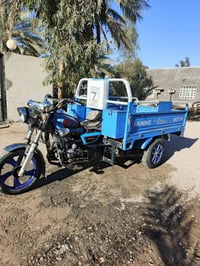 ستوته • موديل ٢٠ • أوراق اصولي