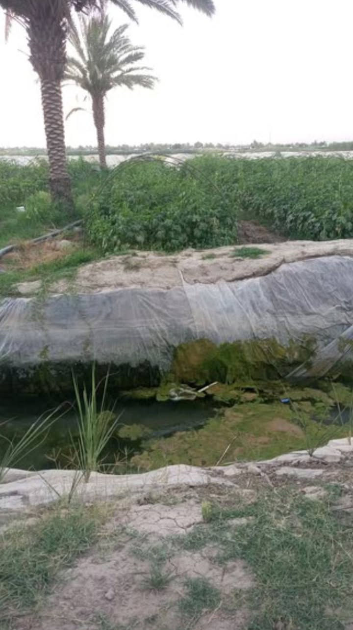 5 دونم للبيع
الموقع اللطيفيه كليو/18 خلف محطة الاسراء

خدمات ماء سقي + ماء اساله كهرباء وطني +سحب مولد

للاستفسار الاتصال ***********//***********
