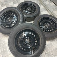 تخم ويل اصلي حجم ١٦ مصبوغ تاير مالت حاويه جبلي السعر ١٤٠ الف ٠٧٨٠٩٠٢٩٣...