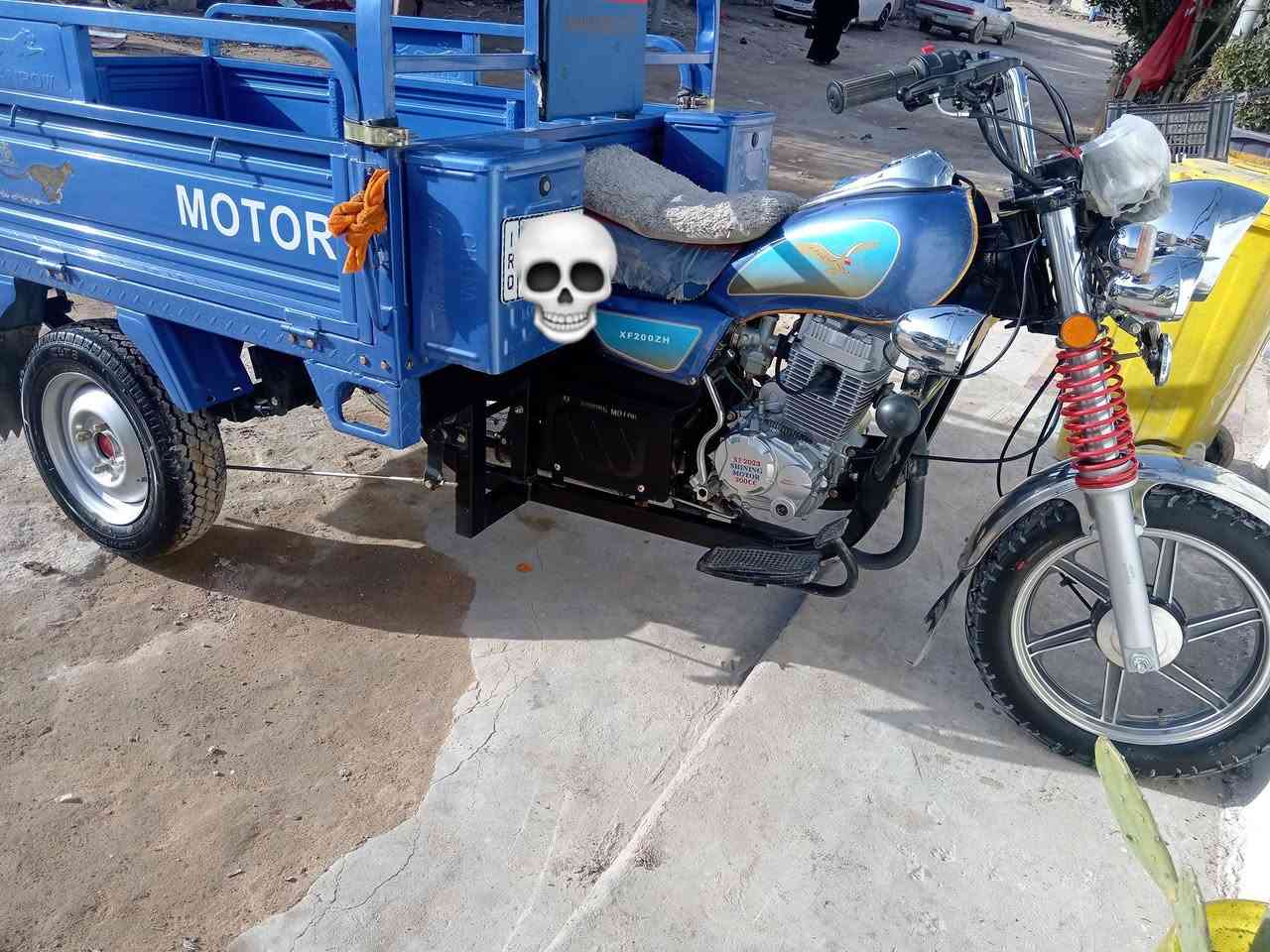 ستوته جمره البيع فحل رقم سنويه صارالهه شهرين من طالعت من الوكيل تصال ***********
