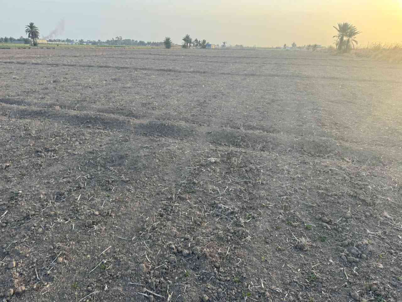 للبيع6دوانم طابو زراعي تحويل وياهن بيت ومحلات عليهن شارعين وجه تبليط نهايتهن نهر
وشارع12متر عليهن خطين مي وكهرباء

الشهابي الثالثه اطراف الفلوجة 

***********
***********

📍 الانبار - فلوجة - حي العسكري - شارع الجيش الشعبي - مقابل محكمة الفلوجة
