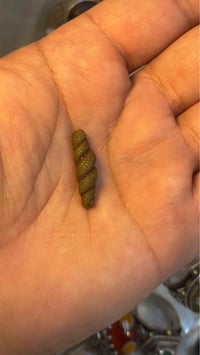 اكسسوارات • بغداد