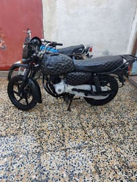 بوكسر • تحويل مباشر • شط العرب الفيحاء