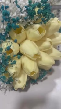 مسكة توليب • كلش حلوة