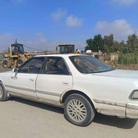 مارك شطح • ٩١ • الكوت