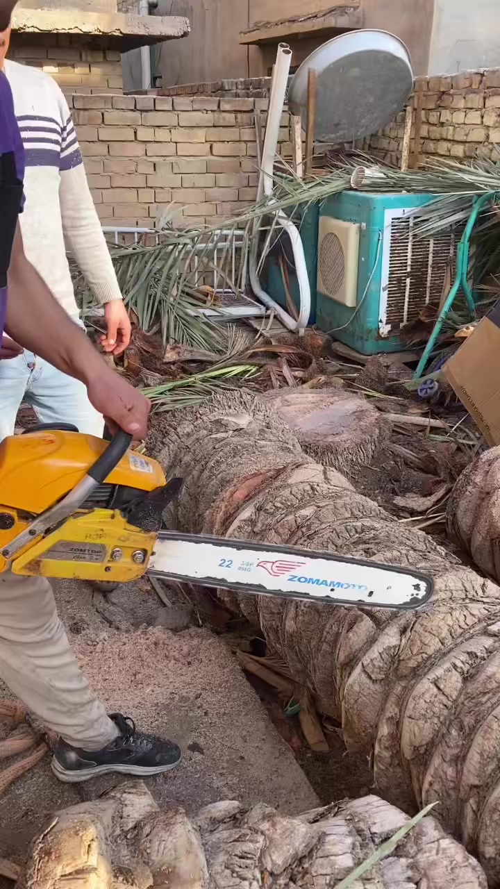 قتل كافه أنواع النخيل بأسعار مناسبه متواجد ع النت  رقمي ***********
