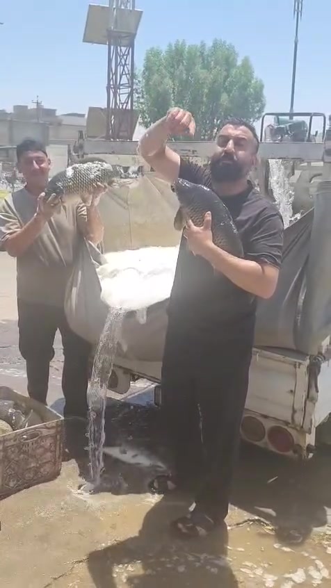 اسماك الرحمن
سمك حي اقفاص 4000🐟🐟
سمك شوي اب 6000🐟🐟
ودجاج حي مشوي على الفحم 10.000🐔🐔
يوجد توصيل
 ***********
***********
***********
العنوان/ فلوجه حي نزال تقاطع نهر فليح 
وتجهيز كافت المناسبات
