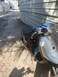 بطه نضافة • فول • العلاوي