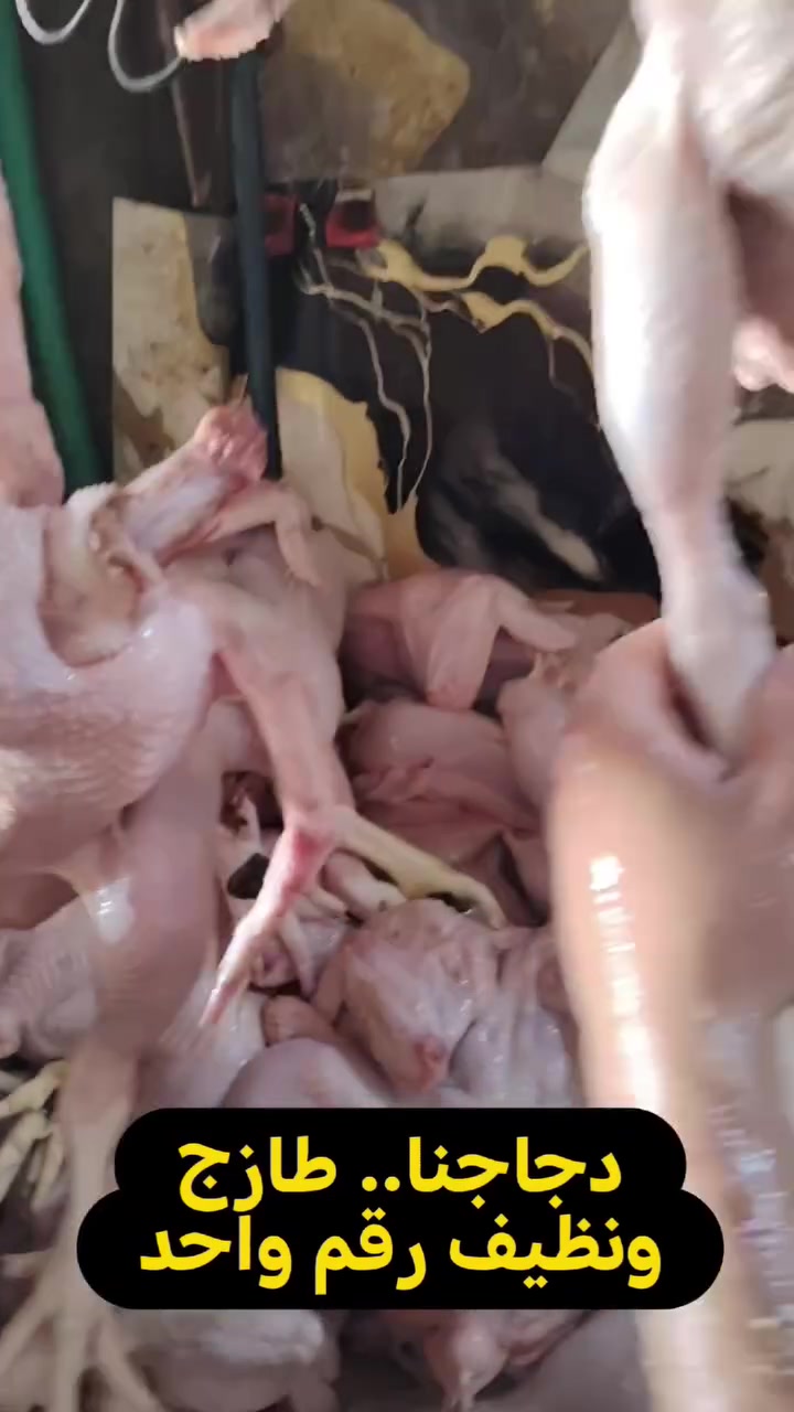 علوة دجاج علاء الله ماصلي علا محمد والي محمد


**إذا كنت صاحب هذا الإعلان وتريد حذفه لأي سبب، رجاءا أرسل رسالة إلى الدعم الفني**